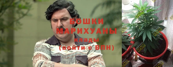 2c-b Алексин