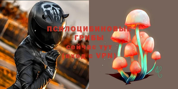 2c-b Алексин