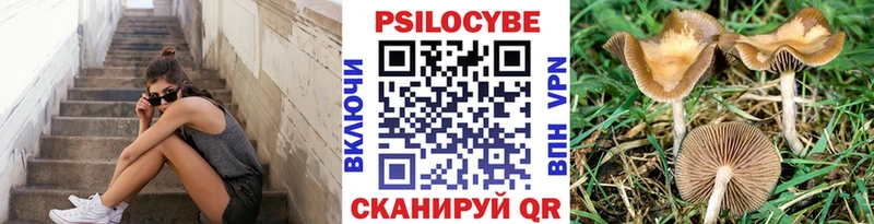 Псилоцибиновые грибы Psilocybe  Белоярский 